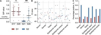 Virological and Histopathological Findings in Boars Naturally Infected With Porcine Reproductive and Respiratory Syndrome Virus Type 1